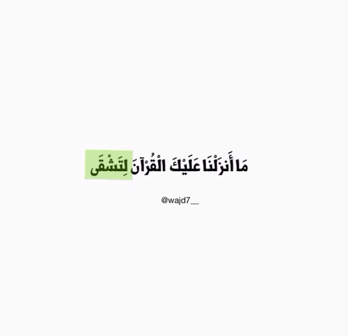 .  bntpal.com_144179814
