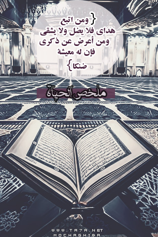 .  bntpal.com_144179814