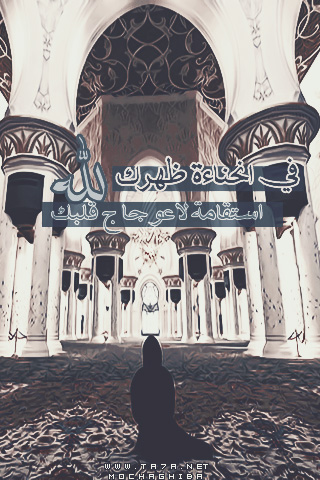 .  bntpal.com_144179814