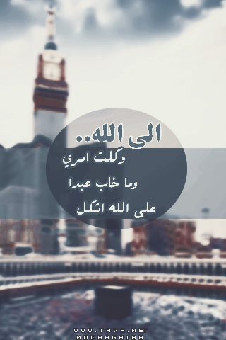 .  bntpal.com_144179814