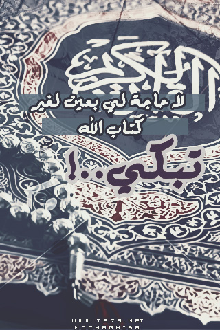.  bntpal.com_144179814