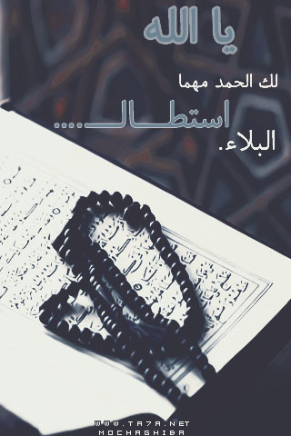 .  bntpal.com_144179814
