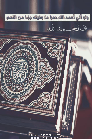 .  bntpal.com_144179814