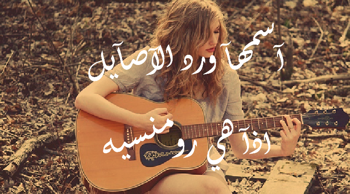  ☺ bntpal.com_144182295