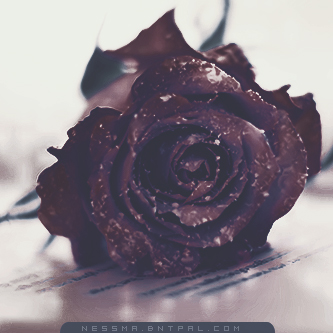 .....| bntpal.com_144189362