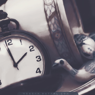.....| bntpal.com_144189362