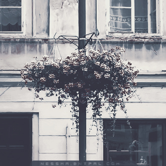 .....| bntpal.com_144189362