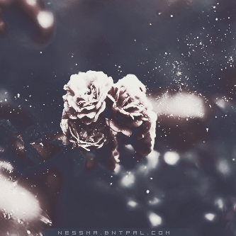 .....| bntpal.com_144189362