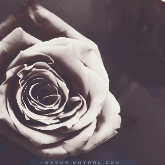 .....| bntpal.com_144189362