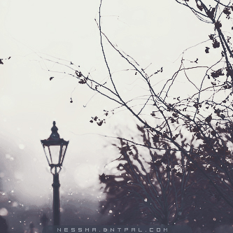 .....| bntpal.com_144189367