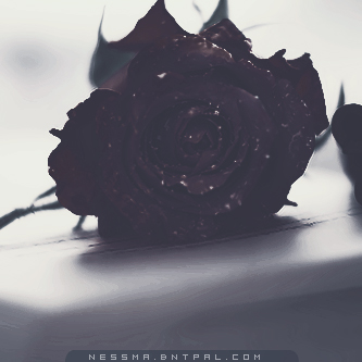 .....| bntpal.com_144189367
