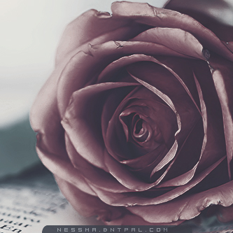 .....| bntpal.com_144189367