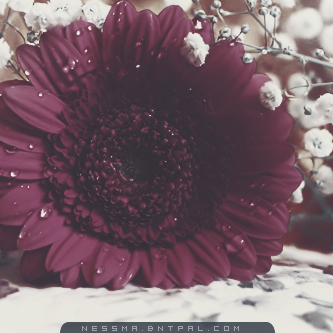 .....| bntpal.com_144189367