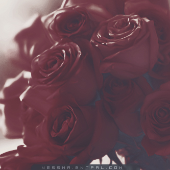 .....| bntpal.com_144189367