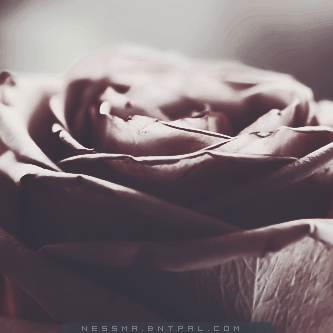 .....| bntpal.com_144189367