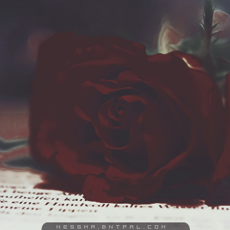 .....| bntpal.com_144189367