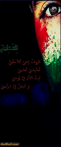  bntpal.com_144189447