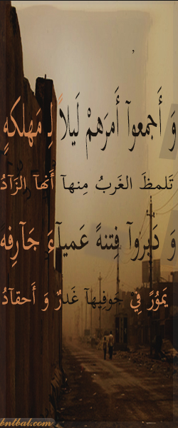  bntpal.com_144189447