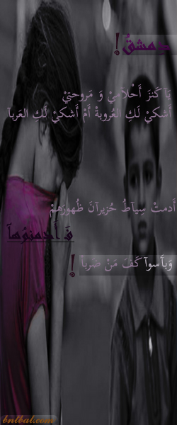  bntpal.com_144189447