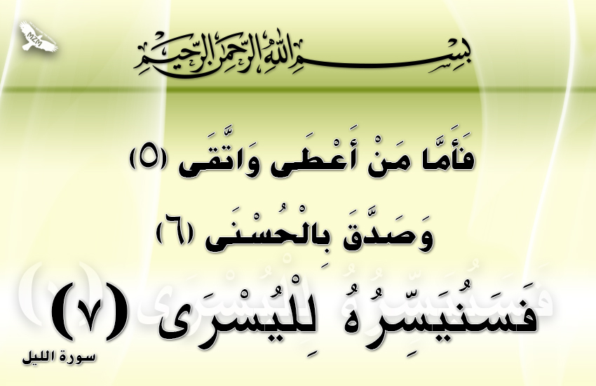 bntpal.com_144212861