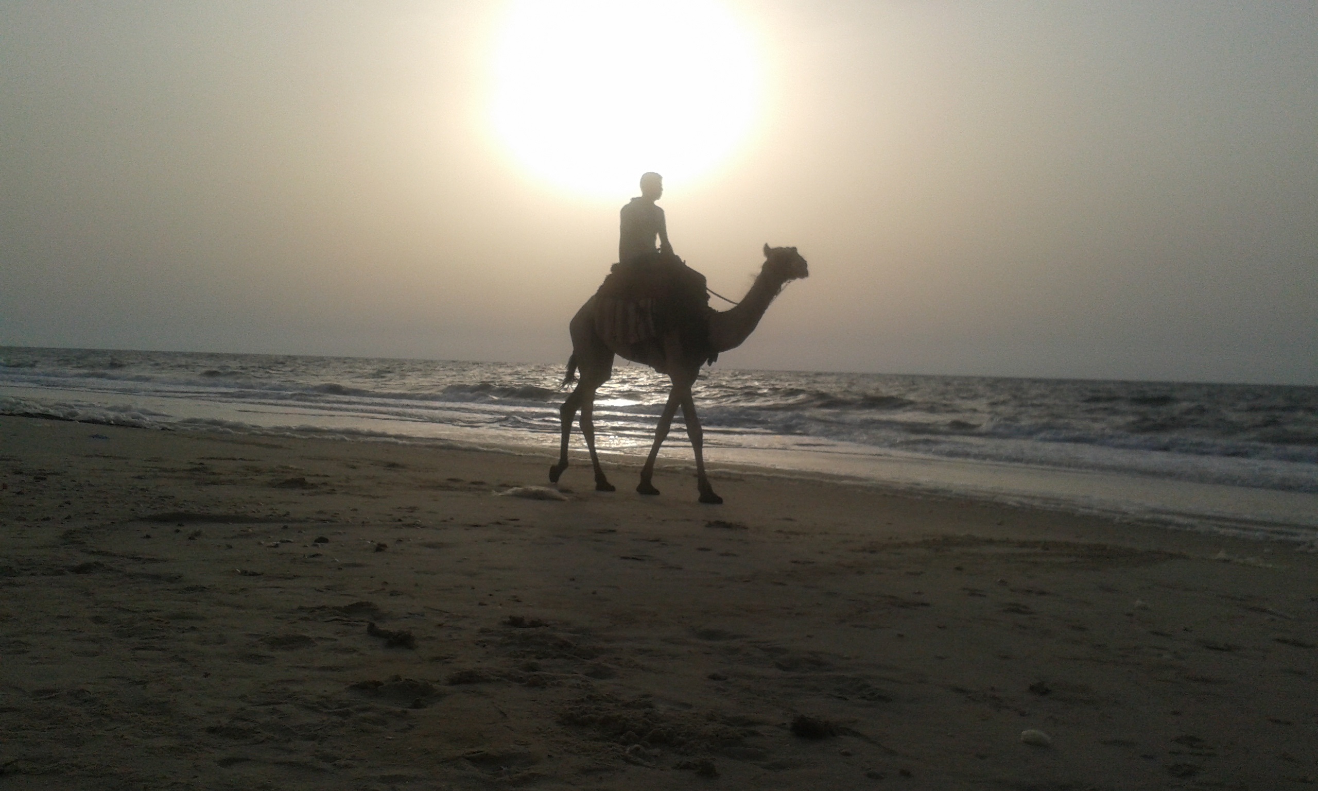 -m0m3n bntpal.com_144215063