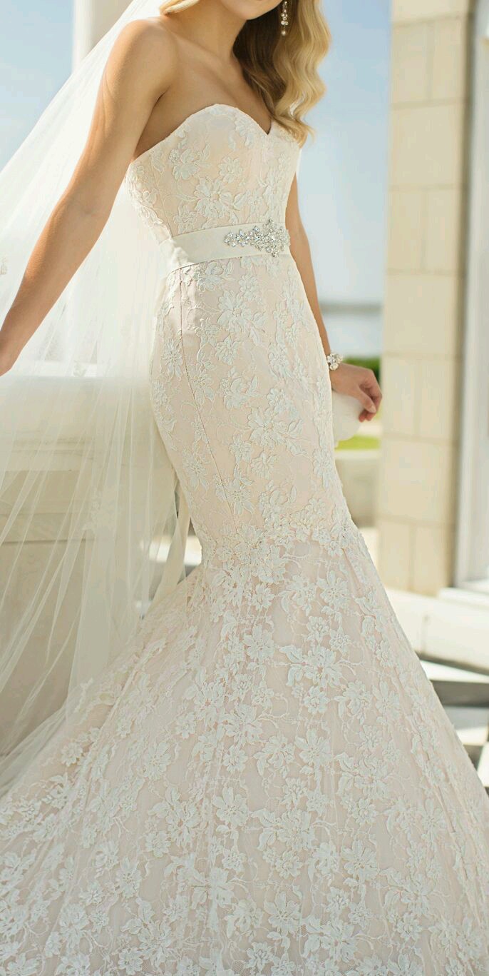 ♥ bntpal.com_144222740