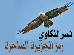 bntpal.com_144225751