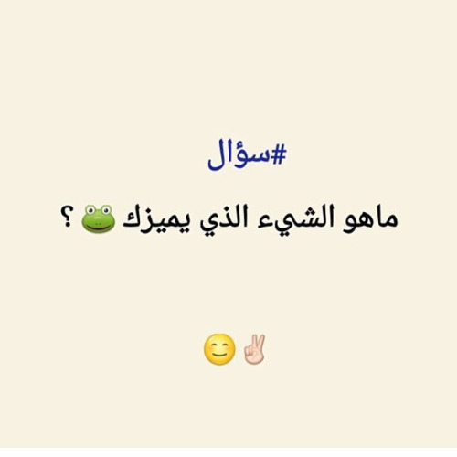 bntpal.com_144260330