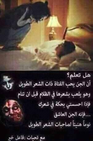 bntpal.com_144283148