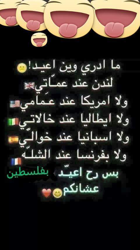 bntpal.com_144283148