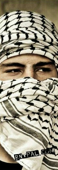  ٱ ٱ ٱ ٱ bntpal.com_144297604