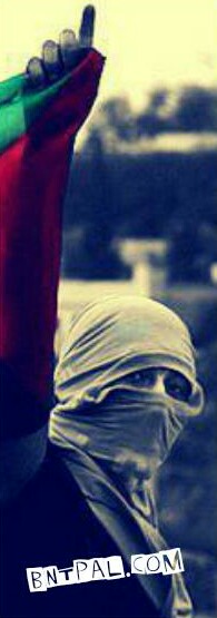  ٱ ٱ ٱ ٱ bntpal.com_144297604