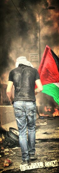  ٱ ٱ ٱ ٱ bntpal.com_144297604