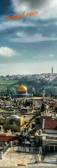  ٱ ٱ ٱ ٱ bntpal.com_144297604