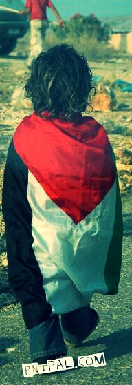  ٱ ٱ ٱ ٱ bntpal.com_144297604