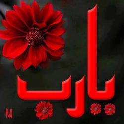 bntpal.com_144300689