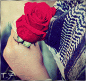 bntpal.com_144300689