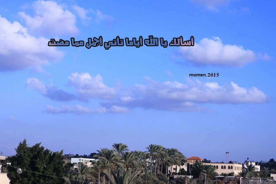 .. -momen bntpal.com_144308462