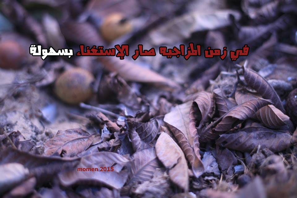 .. -momen bntpal.com_144308550