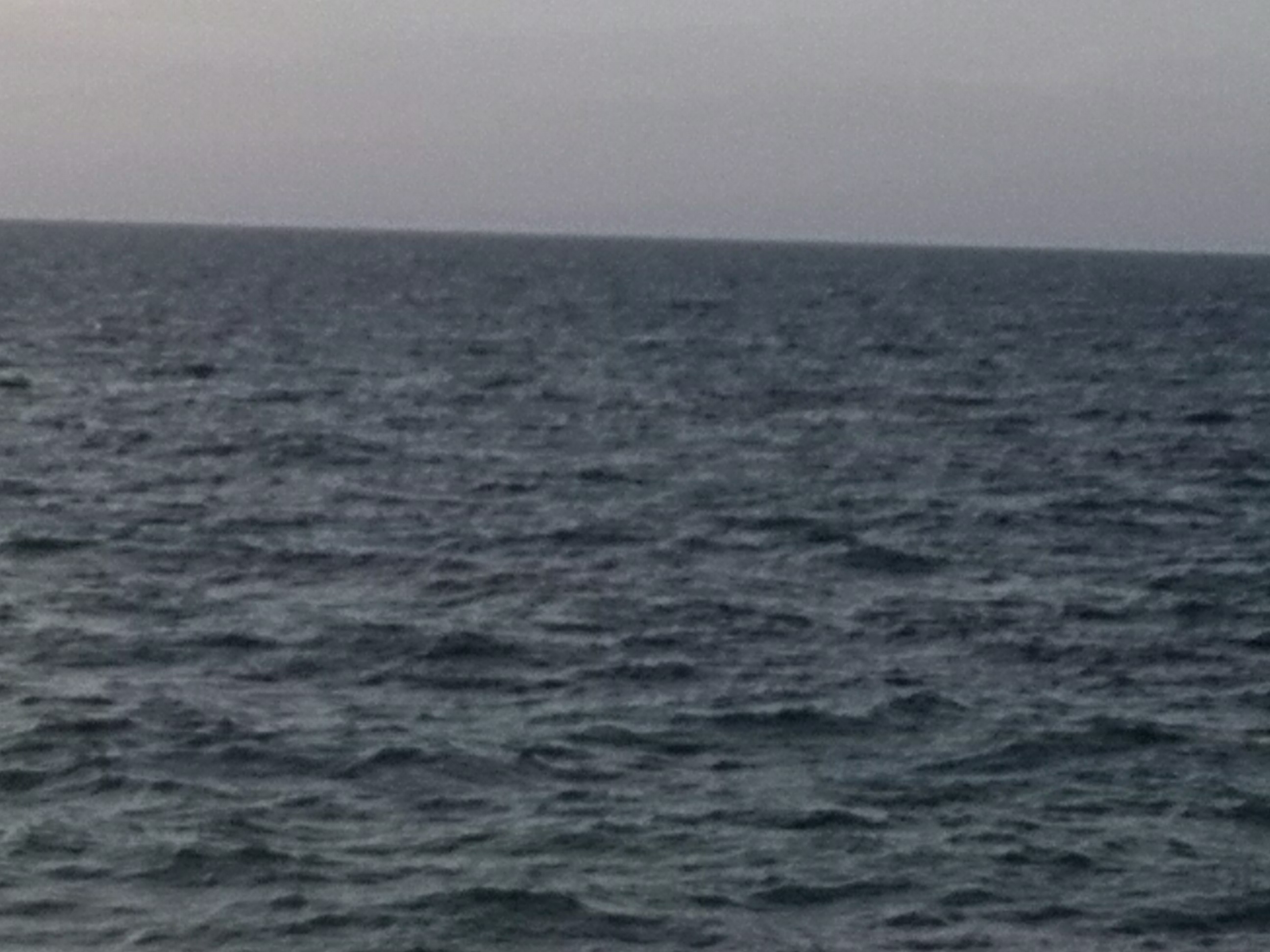 -  bntpal.com_144336211