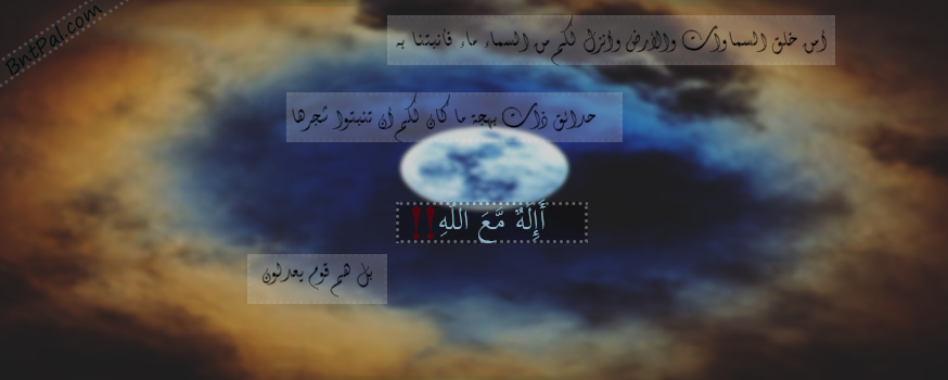 bntpal.com_144338940