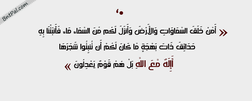 bntpal.com_144338940