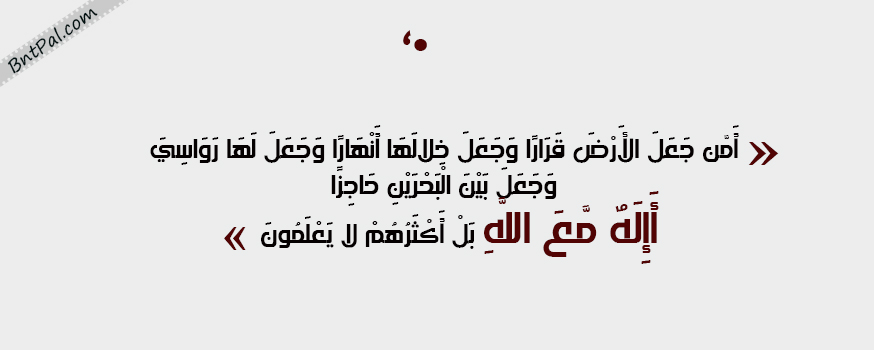 bntpal.com_144338940