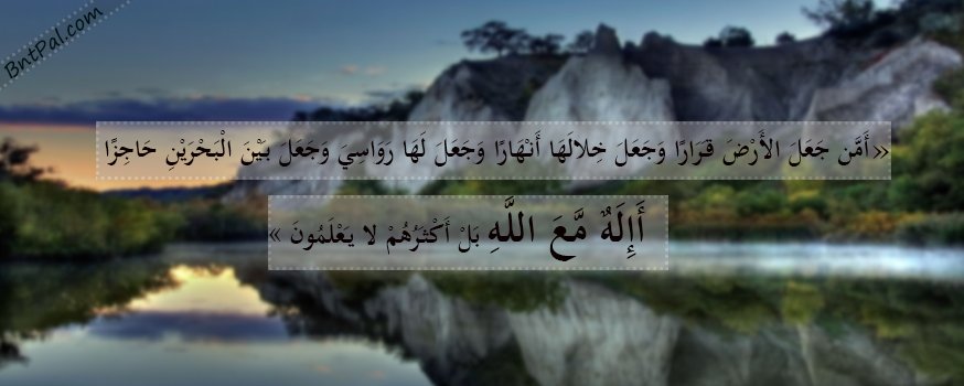 bntpal.com_144338940