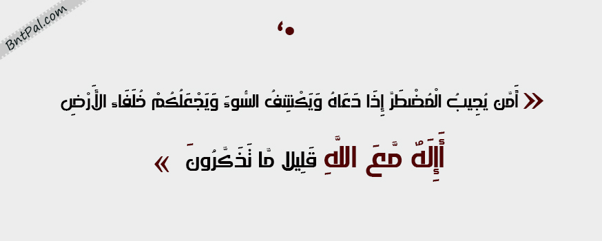 bntpal.com_144338940