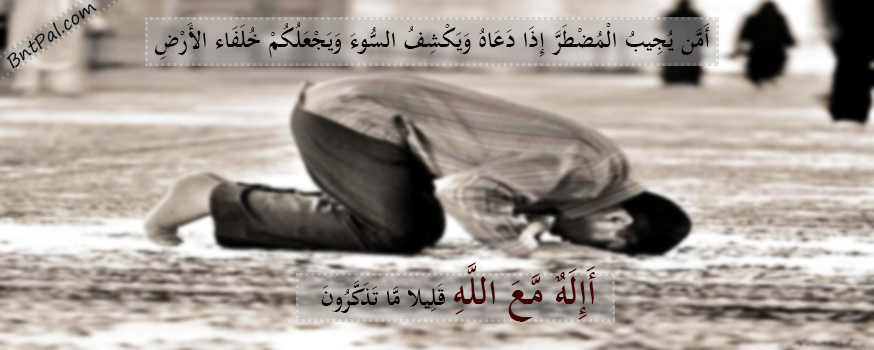 bntpal.com_144338940