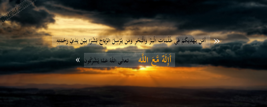 bntpal.com_144338940