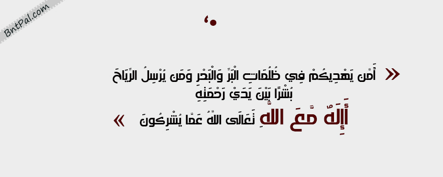 bntpal.com_144338940