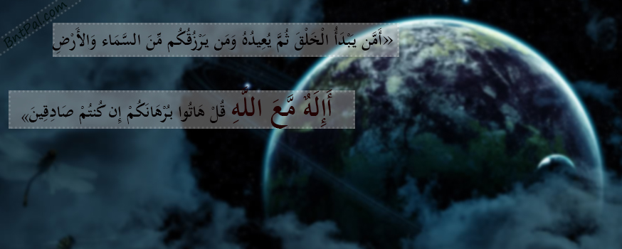 bntpal.com_144338940