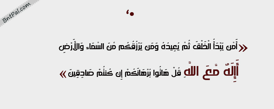 bntpal.com_144338940